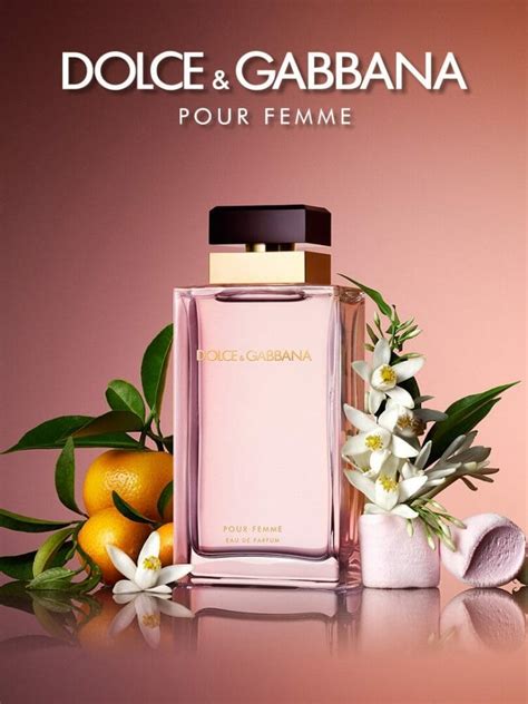 mejor perfume de dolce gabbana|dolce gabbana perfume mujer citrico.